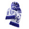 Wilddogs Fan Schal