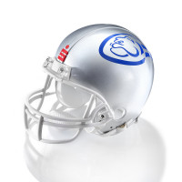 Wilddogs Mini-Helm